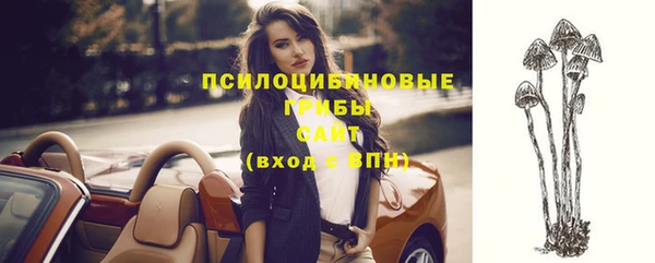 бошки Усолье-Сибирское