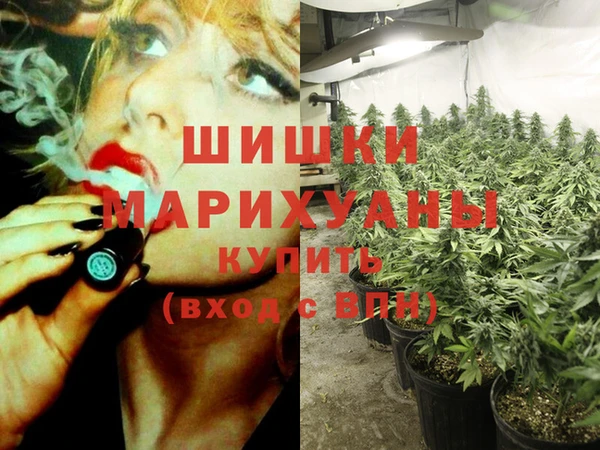 прущая мука Ельня