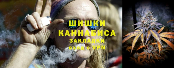 прущая мука Ельня