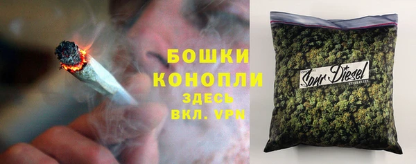 прущая мука Ельня